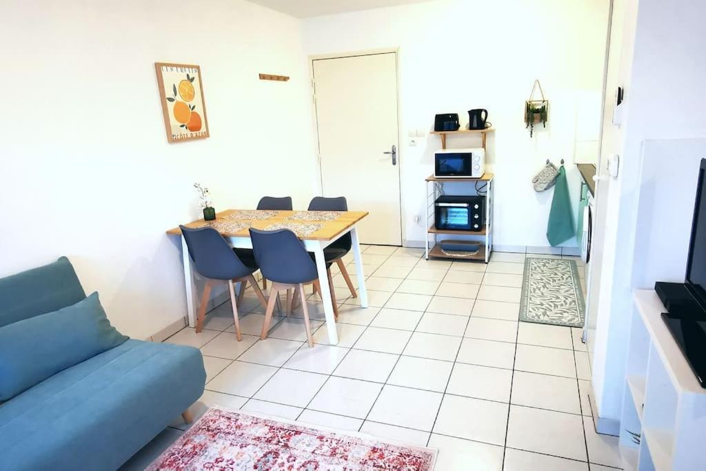 Grand Studio Lumineux Et Sa Terrasse Au Calme Toulouse Exteriér fotografie
