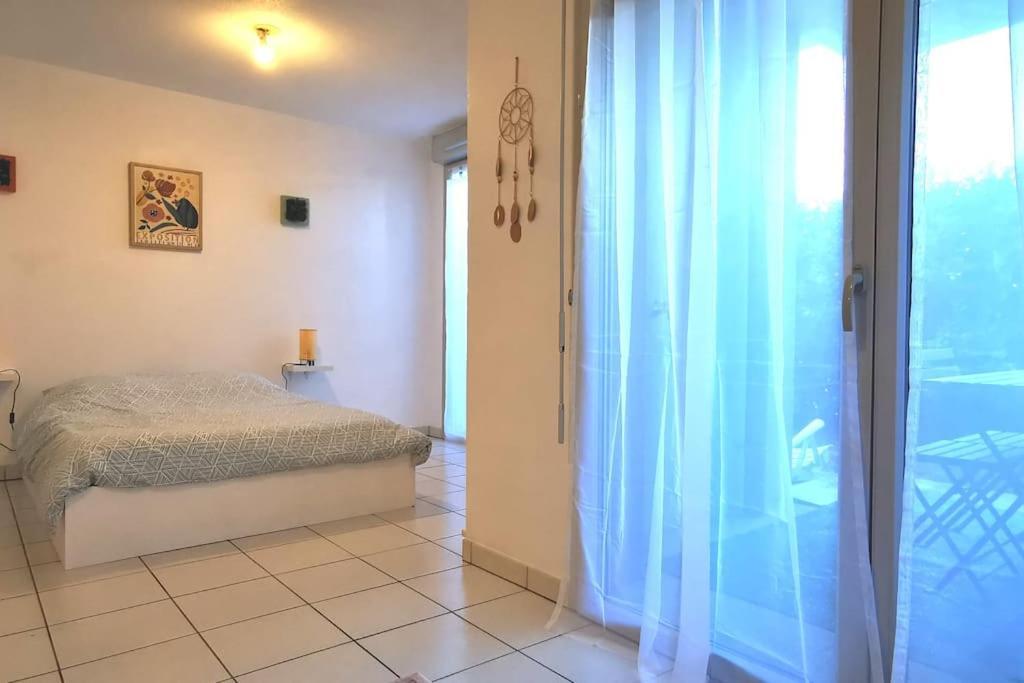 Grand Studio Lumineux Et Sa Terrasse Au Calme Toulouse Exteriér fotografie