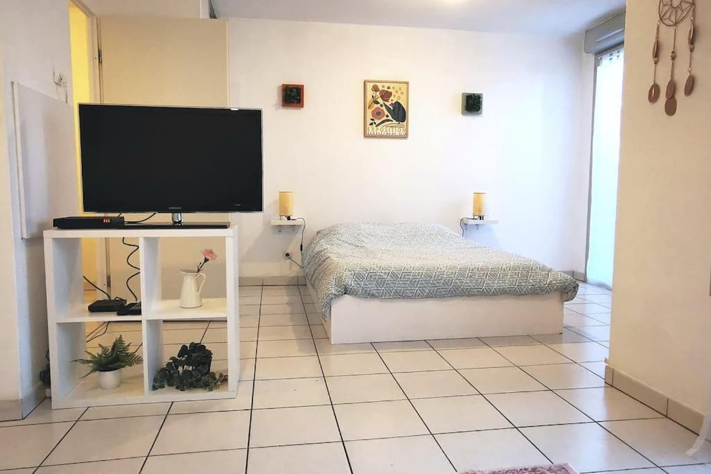 Grand Studio Lumineux Et Sa Terrasse Au Calme Toulouse Exteriér fotografie
