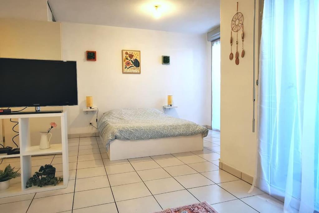 Grand Studio Lumineux Et Sa Terrasse Au Calme Toulouse Exteriér fotografie
