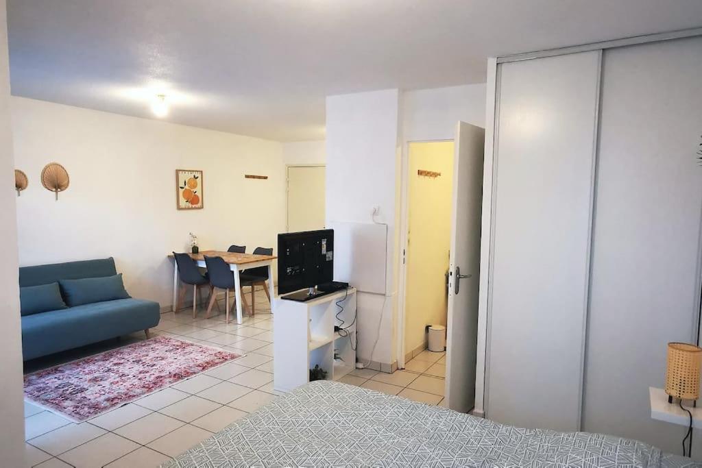 Grand Studio Lumineux Et Sa Terrasse Au Calme Toulouse Exteriér fotografie