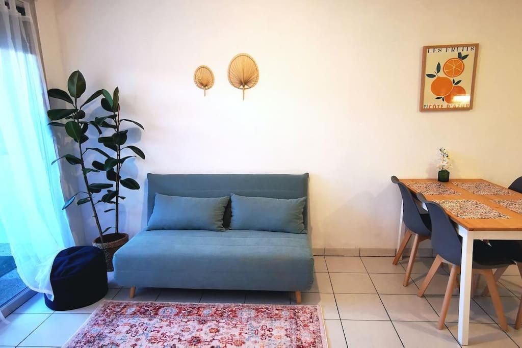 Grand Studio Lumineux Et Sa Terrasse Au Calme Toulouse Exteriér fotografie