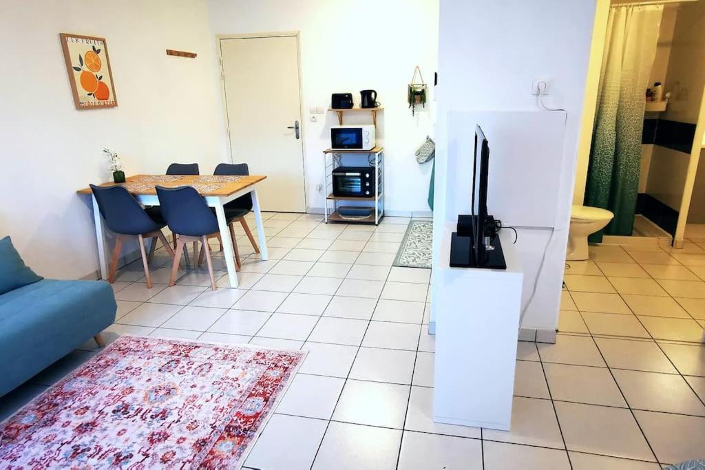 Grand Studio Lumineux Et Sa Terrasse Au Calme Toulouse Exteriér fotografie