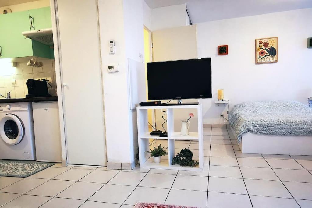 Grand Studio Lumineux Et Sa Terrasse Au Calme Toulouse Exteriér fotografie