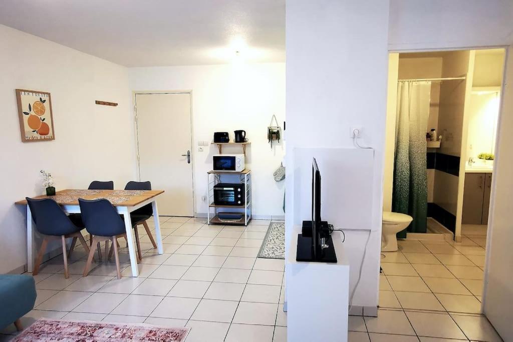 Grand Studio Lumineux Et Sa Terrasse Au Calme Toulouse Exteriér fotografie